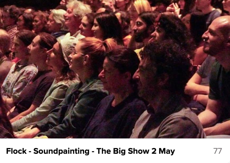 Soundpainting Show - 2 May A shot of a packed audience